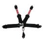 SIMPSON SAFETY SIM132LD5WC Harness 5pt LL Pull-Down 3in / 2in Hans Shldr