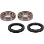 Pivot Works 25-1315-P Eton, Yamaha Wheel Bearing Kit Premium Bearings