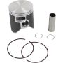 Vertex Pistons 24621A Vertex Piston 17-24 Sherco SE-R 250 250cc Cast Replica Piston Kit