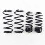 RS-R H292D 2015-2020 Honda Fit (GK5) Down Sus Springs