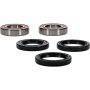 Pivot Works 25-1499-P CF-Moto, Ducati, Polaris Wheel Bearing Kit Premium Bearings