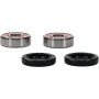 Pivot Works 25-1684-P Honda Wheel Bearing Kit Premium Bearings