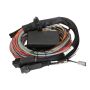Haltech HT-141304 Elite 2500/2500 T 8ft Premium Universal Wire-In Harness