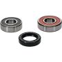 Pivot Works 25-1261-P Honda Wheel Bearing Kit Premium Bearings