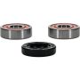 Pivot Works 25-1439-P Honda, Kawasaki, Suzuki Wheel Bearing Kit Premium Bearings