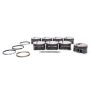 Mahle Motorsport 930200160 Piston Kit