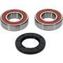 Pivot Works 25-1322-P Polaris Wheel Bearing Kit Premium Bearings