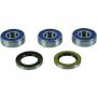 All Balls Racing 25-1813 2017 BMW F700GS Wheel Bearing Kit Rear
