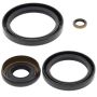 All Balls Racing 25-2066-5 03-13 Kawasaki KVF360A Prairie 4x4 Differential Seal Only Kit Front