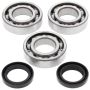 All Balls Racing 24-1092 99-06 Polaris Trail Blazer 250 Crank Shaft Bearing Kit