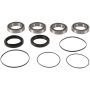 Pivot Works PWRWK-Y30-700 Wheel Bearing Kit