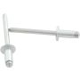 ALLSTAR PERFORMANCE ALL18107 Sm Hd Rivet Silver 250pk