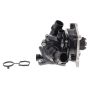 VAICO V10-4919 WATER PUMP ASSY