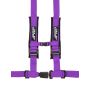 PRP 4.2 Harness- Purple