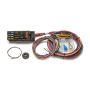 PAINLESS WIRING PWI50001 10 Circuit Race Harness