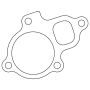 Cometic Gasket C4917 Cometic Nissan QR25DE .018in AFM Water Outlet Gasket - 2002-2018