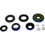 All Balls Racing 25-2085-5 2015 Polaris Hawkeye 325 2x4 Transaxle Seal Kit