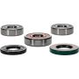 Pivot Works 25-1264-P Yamaha Wheel Bearing Kit Premium Bearings
