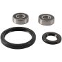 Pivot Works PWFWK-K06-020 Wheel Bearing Kit