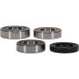 Pivot Works 25-1720-P Yamaha Wheel Bearing Kit Premium Bearings