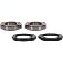 Pivot Works 25-1321-P Polaris Wheel Bearing Kit Premium Bearings