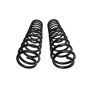 ICON 95230 21-24 Raptor Triple Rate Coil Spring Kit