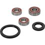 Pivot Works 25-1098-P Polaris Wheel Bearing Kit Premium Bearings