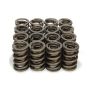PAC RACING SPRINGS PACPAC-1297-16 1.539 Dual Valve Springs (16) w/Damper
