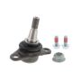 VAICO V95-9519 BALL JOINT