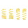ST Suspensions 66249 ST Sport-tech Lowering Springs VW Golf IV New Beetle Beetle Convertible