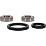 Pivot Works 25-1590-P Triumph Wheel Bearing Kit Premium Bearings