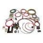 PAINLESS WIRING PWI10101 21 Circuit Gm Keyed Colm
