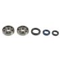 Athena P400210444007 Main Bearing & Seal Kit
