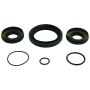 All Balls Racing 25-2110-5 15-19 Honda TRX500FA Differential Seal Only Kit Front