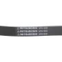 MITSUBOSHI 6PK1830 V-RIBBED BELT