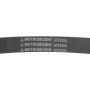 MITSUBOSHI 6PK2555 V-RIBBED BELT