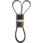 MITSUBOSHI 7PK1695 V-RIBBED BELT