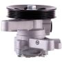 PWR STEER 60-5029P New Power Steering Pump With Pulley
