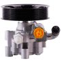PWR STEER 60-5179P New Power Steering Pump With Pulley