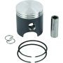 Vertex Pistons 24106AB 10-11 CX 65 Replica Piston Kit