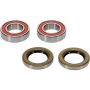 Pivot Works 25-1750-P BMW Wheel Bearing Kit Premium Bearings