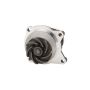 Dayco DP966 Water Pump