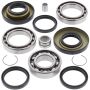 All Balls Racing 25-2009 97-01 Honda TRX250 Recon Differential Bearing & Seal Kit Rear