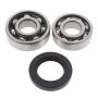 All Balls Racing 14-1029 78-81 Yamaha Enticer ET250/GP/GS Jack Shaft Bearing & Seal Kit Upper Shaft