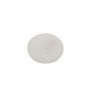 AUTOBEST F121S Autobest F121S Fuel Pump Strainer