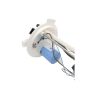 AUTOBEST F1591A Autobest F1591A Fuel Pump Module Assembly