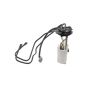 AUTOBEST F2501A Autobest F2501A Fuel Pump Module Assembly