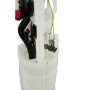 AUTOBEST F2580A Autobest F2580A Fuel Pump Module Assembly