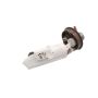 AUTOBEST F3141A Autobest F3141A Fuel Pump Module Assembly