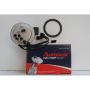 AUTOBEST F4419A Autobest F4419A Fuel Pump Module Assembly